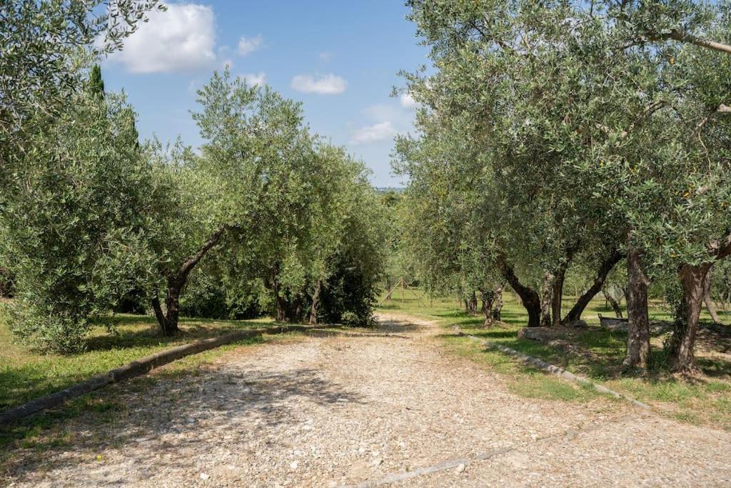 Loft Rustico Toscano: Natura E Relax Apartamento