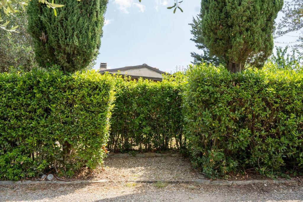 Loft Rustico Toscano: Natura E Relax Florencia